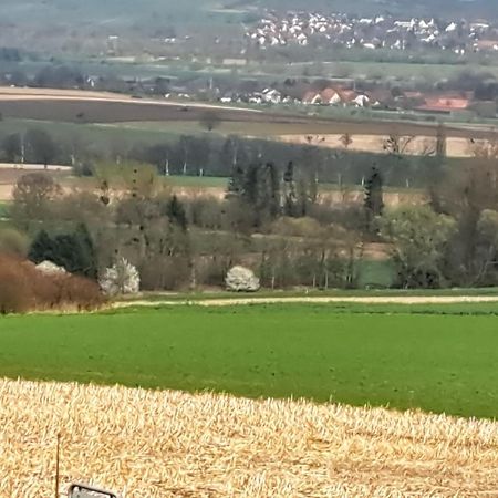 Zur Schoenen Aussicht Hamelin Eksteriør bilde