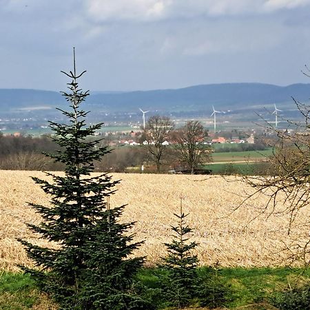 Zur Schoenen Aussicht Hamelin Eksteriør bilde